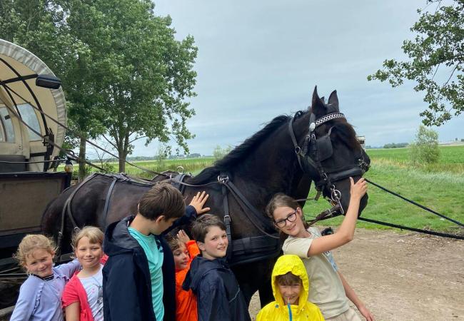 Taalkamp op de boerderij © Spermaliehoeve