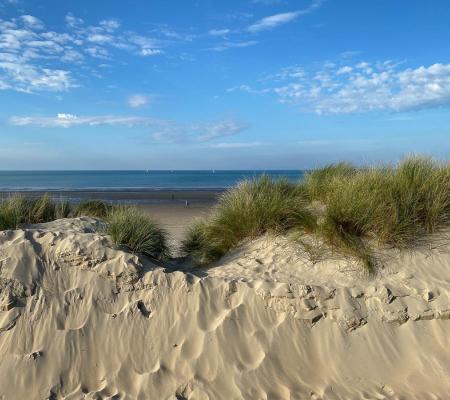 Malou Vansina Strand en Duinen