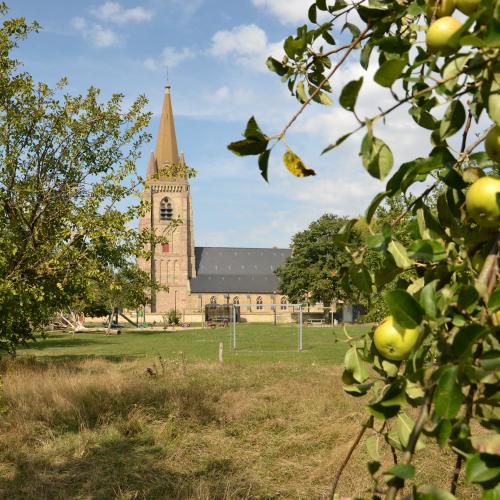appels in Sint-Pieters-Kapelle
