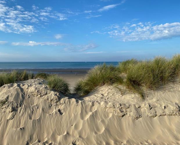 Malou Vansina Strand en Duinen